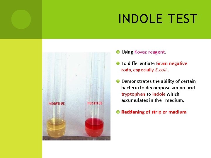 INDOLE TEST Using Kovac reagent. To differentiate Gram negative rods, especially E. coli. Demonstrates