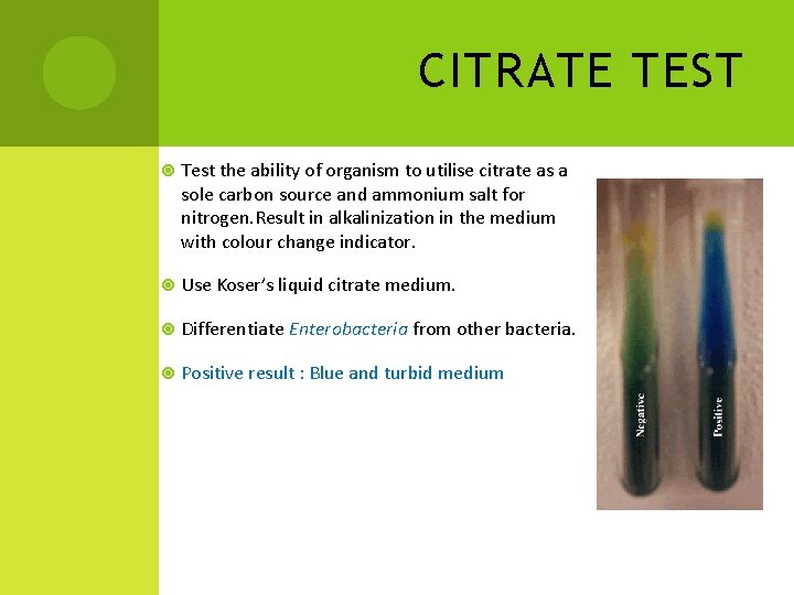 CITRATE TEST Test the ability of organism to utilise citrate as a sole carbon