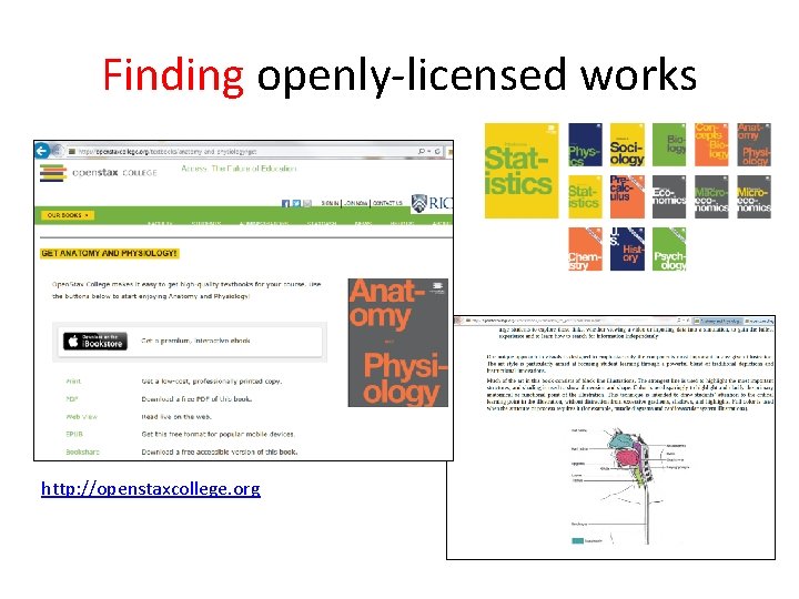 Finding openly-licensed works http: //openstaxcollege. org 