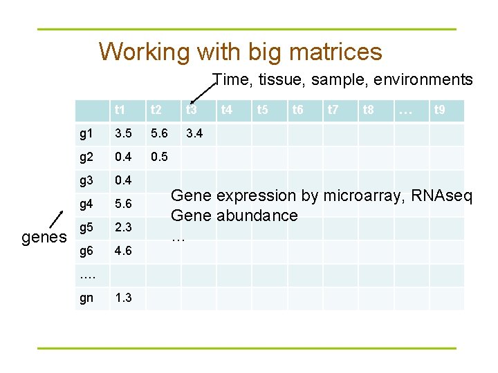 Working with big matrices Time, tissue, sample, environments genes t 1 t 2 t