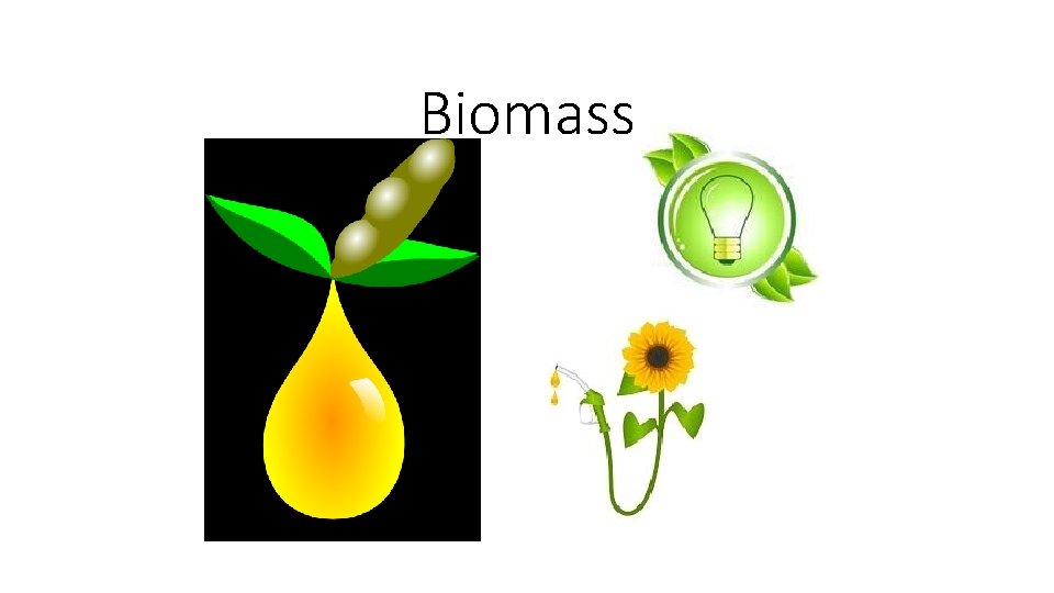 Biomass 
