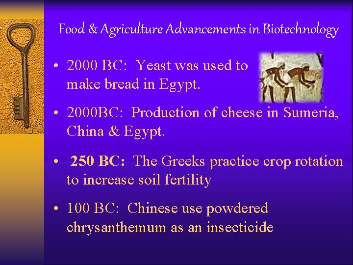 Food & Agriculture Advancements in Biotechnology • 2000 BC: Yeast was used to make