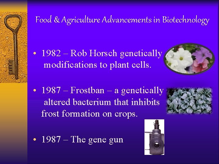 Food & Agriculture Advancements in Biotechnology • 1982 – Rob Horsch genetically modifications to