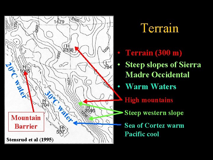 Terrain o. C 20 • Terrain (300 m) • Steep slopes of Sierra Madre