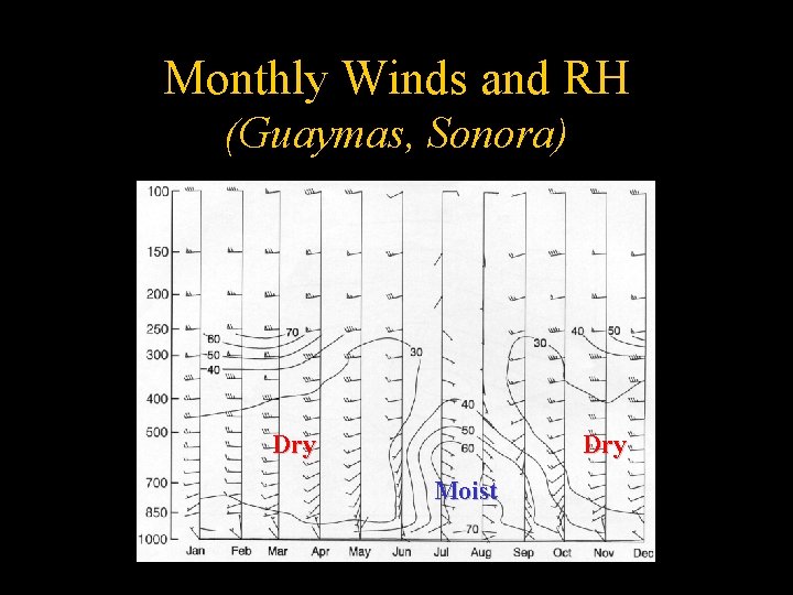 Monthly Winds and RH (Guaymas, Sonora) Dry Moist Douglas et al (1993) 