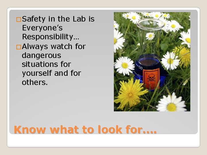 �Safety in the Lab is Everyone’s Responsibility… �Always watch for dangerous situations for yourself