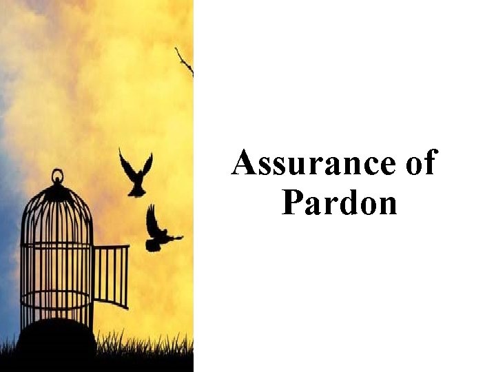 Assurance of Pardon 