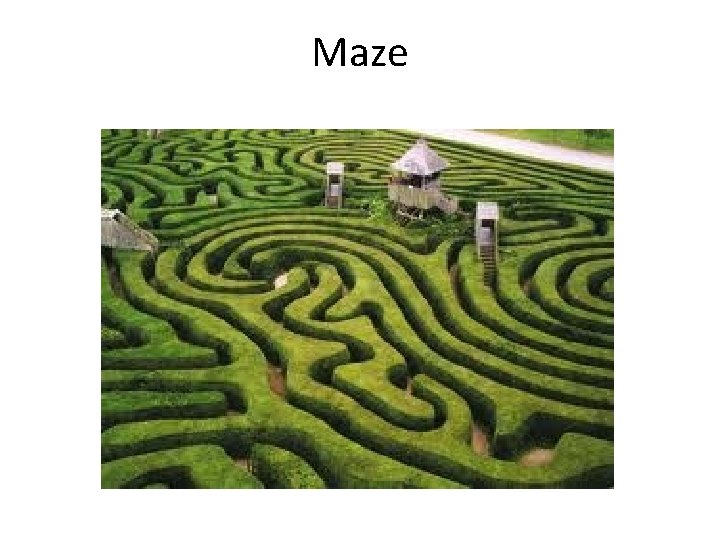 Maze 