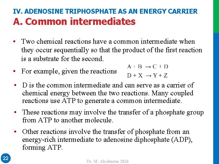 IV. ADENOSINE TRIPHOSPHATE AS AN ENERGY CARRIER A. Common intermediates • Two chemical reactions