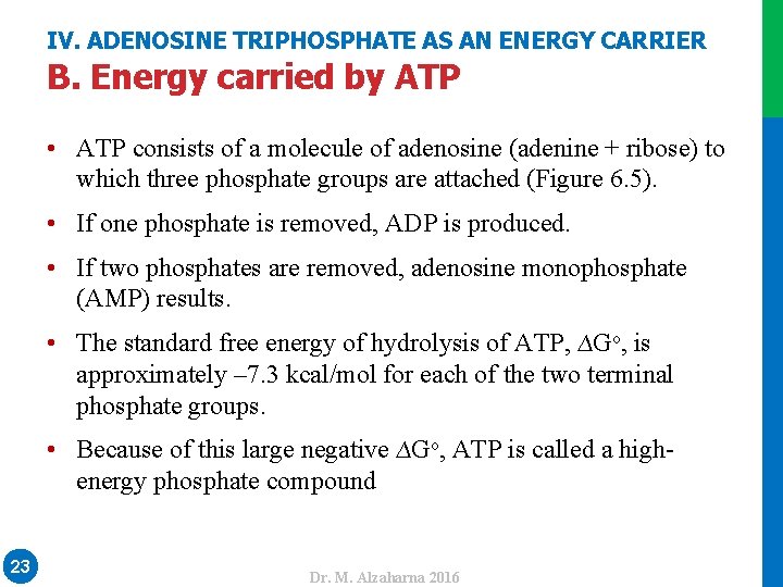 IV. ADENOSINE TRIPHOSPHATE AS AN ENERGY CARRIER B. Energy carried by ATP • ATP