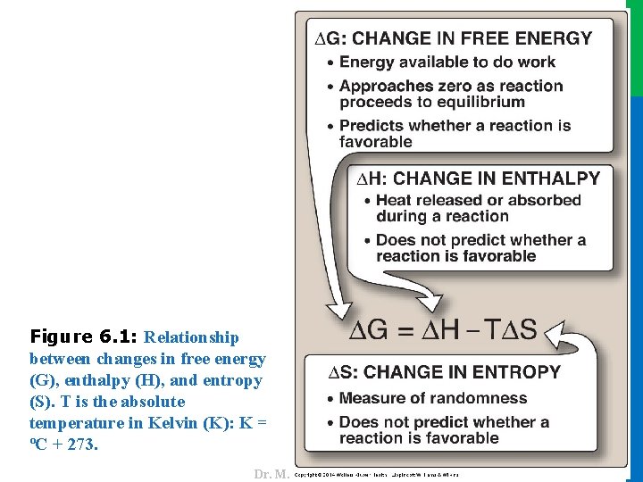 Dr. M. Alzaharna 2016 Figure 6. 1: Relationship between changes in free energy (G),