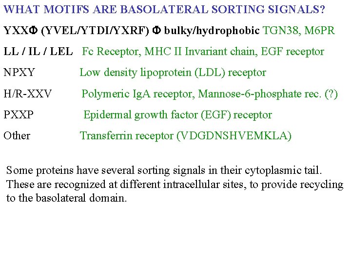 WHAT MOTIFS ARE BASOLATERAL SORTING SIGNALS? YXX (YVEL/YTDI/YXRF) bulky/hydrophobic TGN 38, M 6 PR