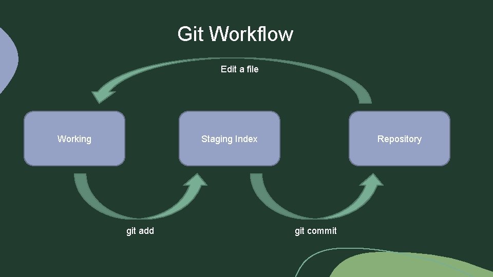 Git Workflow Edit a file Working Staging Index git add Repository git commit 