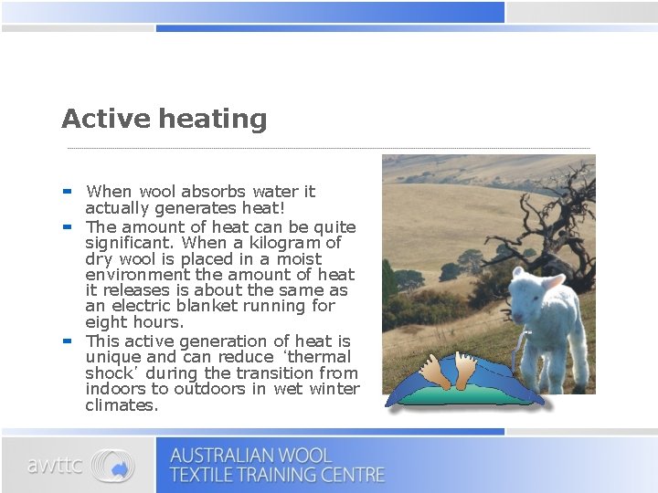 Active heating When wool absorbs water it actually generates heat! The amount of heat