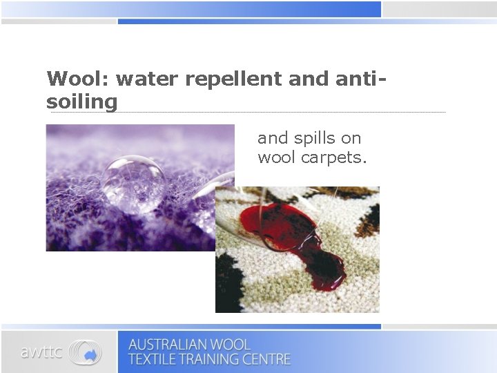 Wool: water repellent and antisoiling and spills on wool carpets. 