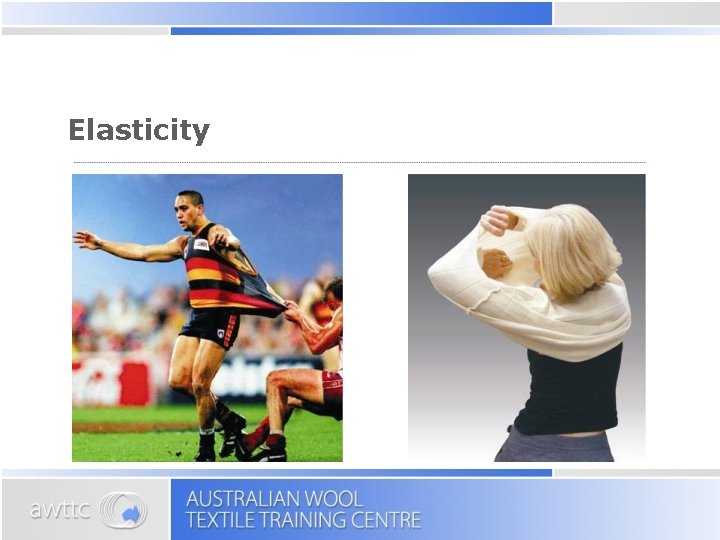 Elasticity 