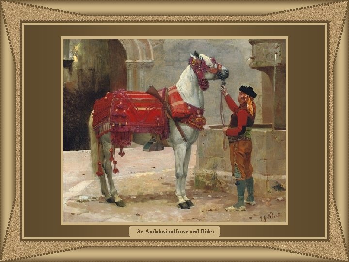 An Andalusian. Horse and Rider 