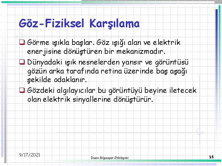 Göz-Fiziksel Karşılama q Görme ışıkla başlar. Göz ışığı alan ve elektrik enerjisine dönüştüren bir