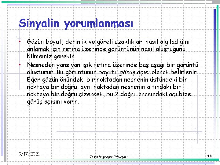 Sinyalin yorumlanması • Gözün boyut, derinlik ve göreli uzaklıkları nasıl algıladığını anlamak için retina