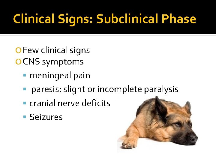Clinical Signs: Subclinical Phase Few clinical signs CNS symptoms meningeal pain paresis: slight or