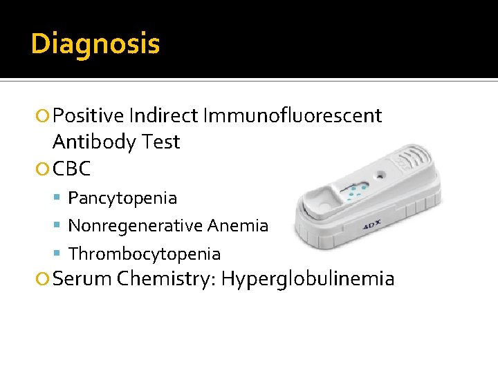 Diagnosis Positive Indirect Immunofluorescent Antibody Test CBC Pancytopenia Nonregenerative Anemia Thrombocytopenia Serum Chemistry: Hyperglobulinemia