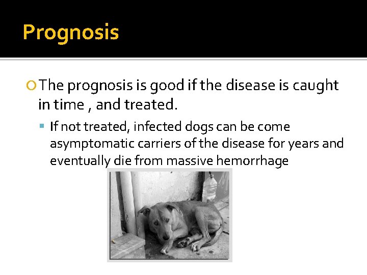 Prognosis The prognosis is good if the disease is caught in time , and