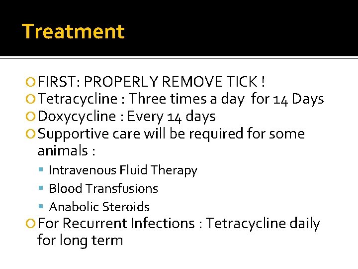 Treatment FIRST: PROPERLY REMOVE TICK ! Tetracycline : Three times a day for 14