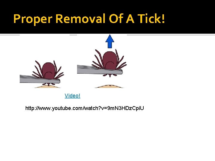 Proper Removal Of A Tick! Video! http: //www. youtube. com/watch? v=9 m. N 3