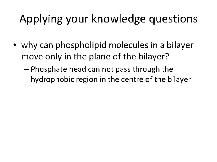 Applying your knowledge questions • why can phospholipid molecules in a bilayer move only