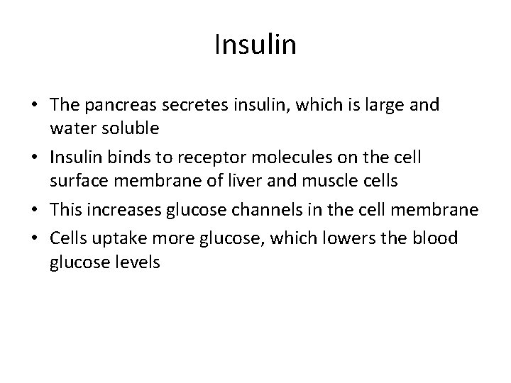 Insulin • The pancreas secretes insulin, which is large and water soluble • Insulin