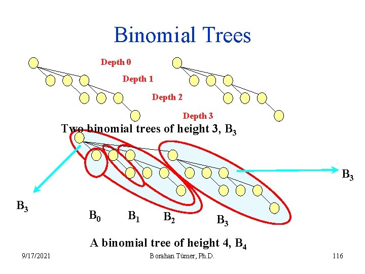 Binomial Trees Depth 0 Depth 1 Depth 2 Depth 3 Two binomial trees of