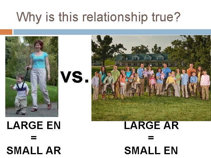 Why is this relationship true? vs. LARGE EN = SMALL AR LARGE AR =