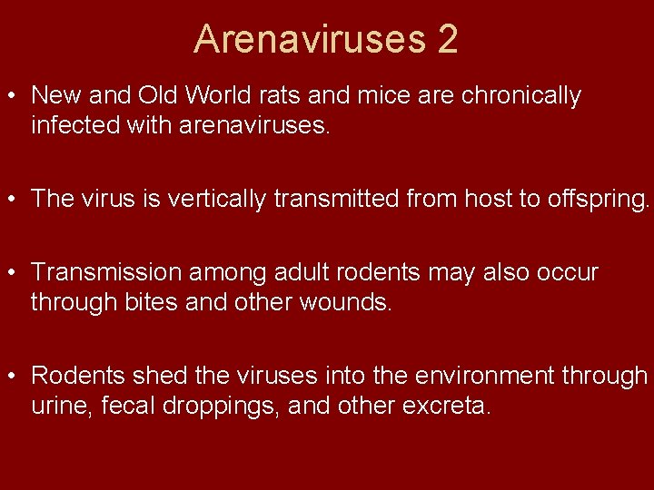 Arenaviruses 2 • New and Old World rats and mice are chronically infected with