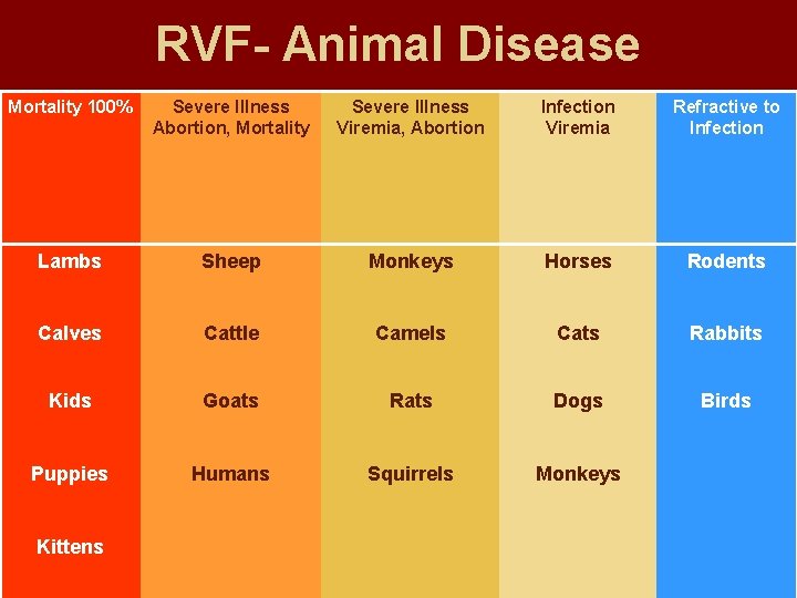 RVF- Animal Disease Mortality 100% Severe Illness Abortion, Mortality Severe Illness Viremia, Abortion Infection