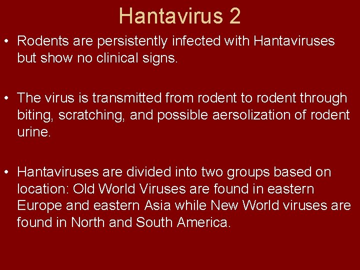 Hantavirus 2 • Rodents are persistently infected with Hantaviruses but show no clinical signs.