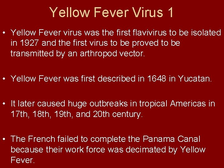 Yellow Fever Virus 1 • Yellow Fever virus was the first flavivirus to be