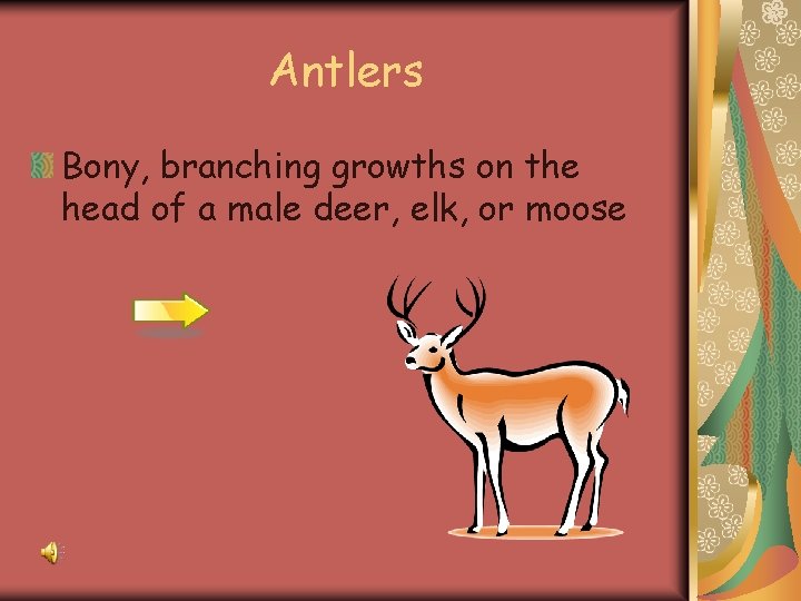 Antlers Bony, branching growths on the head of a male deer, elk, or moose