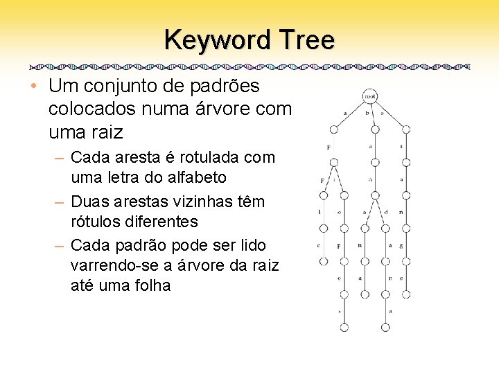 Keyword Tree • Um conjunto de padrões colocados numa árvore com uma raiz –