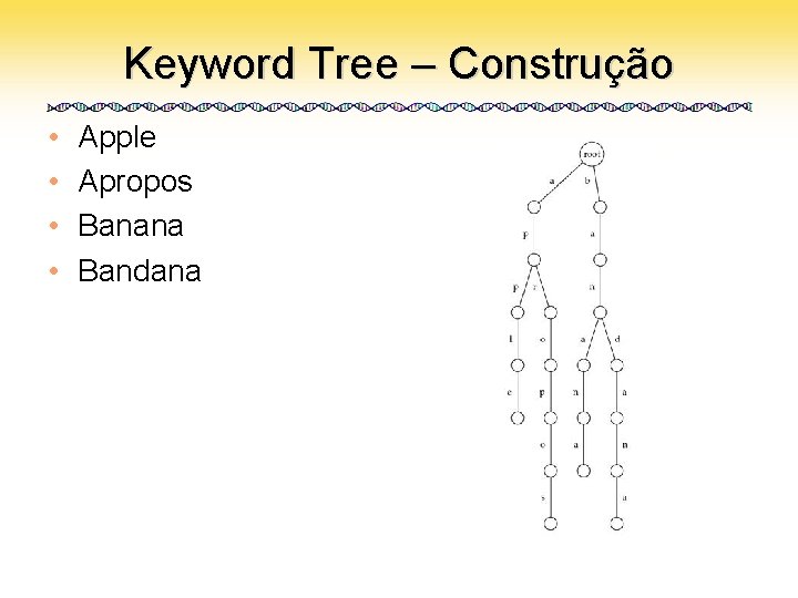 Keyword Tree – Construção • • Apple Apropos Banana Bandana 