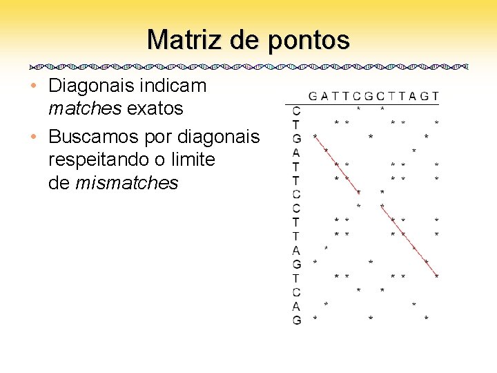 Matriz de pontos • Diagonais indicam matches exatos • Buscamos por diagonais respeitando o