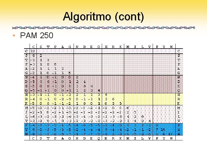 Algoritmo (cont) • PAM 250 