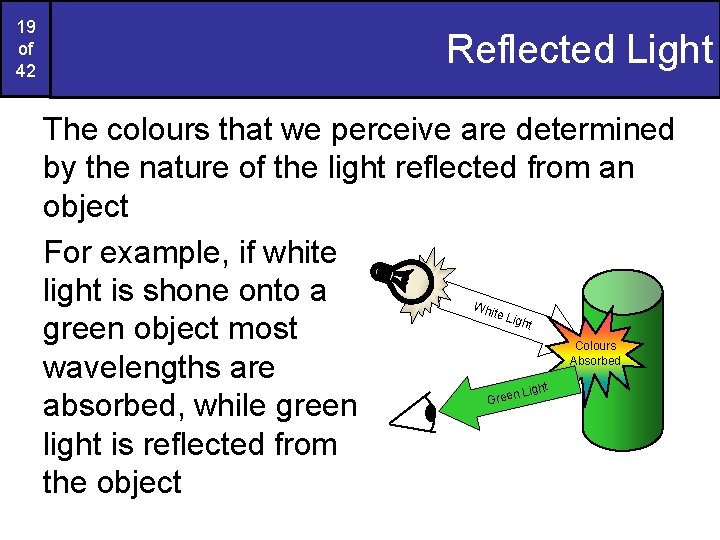 19 of 42 Reflected Light The colours that we perceive are determined by the