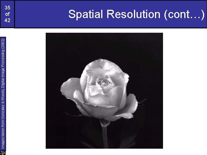 Images taken from Gonzalez & Woods, Digital Image Processing (2002) 35 of 42 Spatial