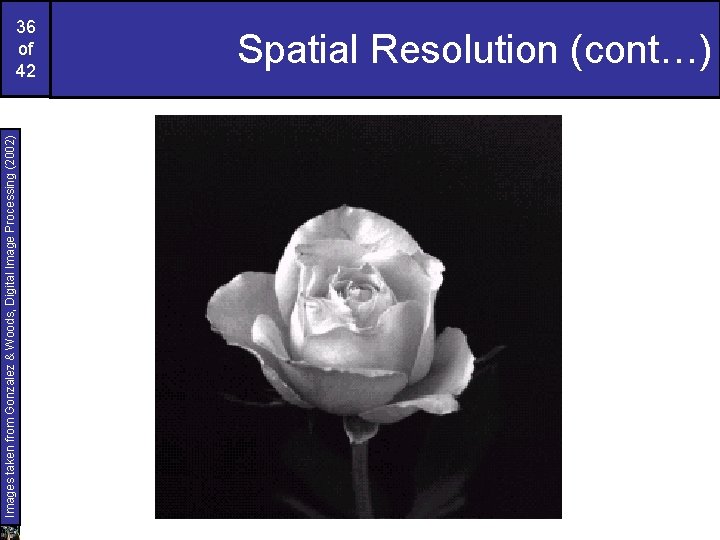 Images taken from Gonzalez & Woods, Digital Image Processing (2002) 36 of 42 Spatial