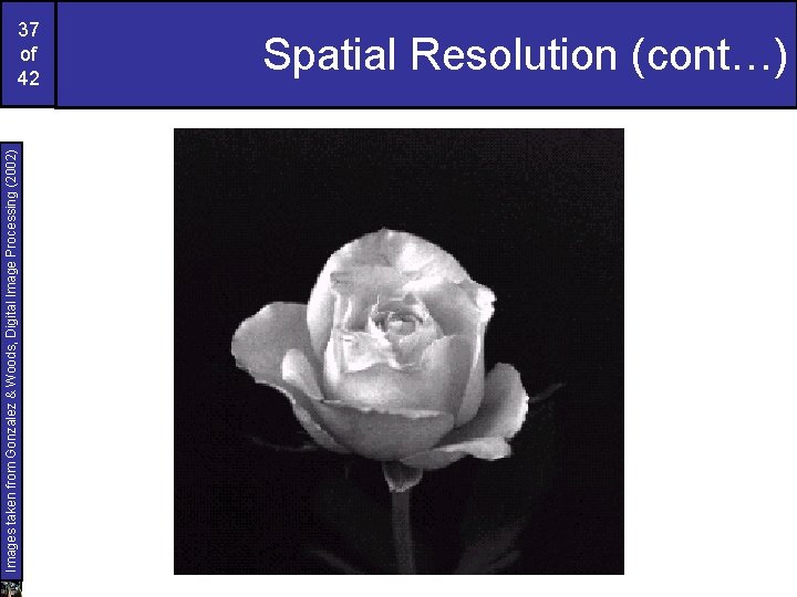 Images taken from Gonzalez & Woods, Digital Image Processing (2002) 37 of 42 Spatial