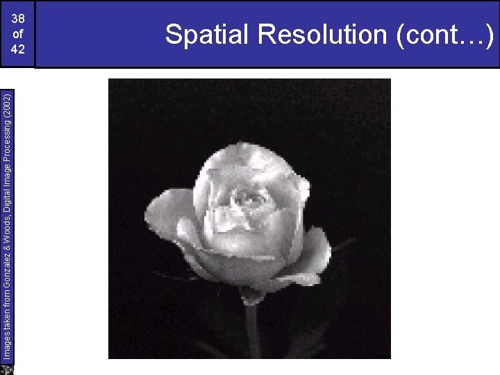 Images taken from Gonzalez & Woods, Digital Image Processing (2002) 38 of 42 Spatial