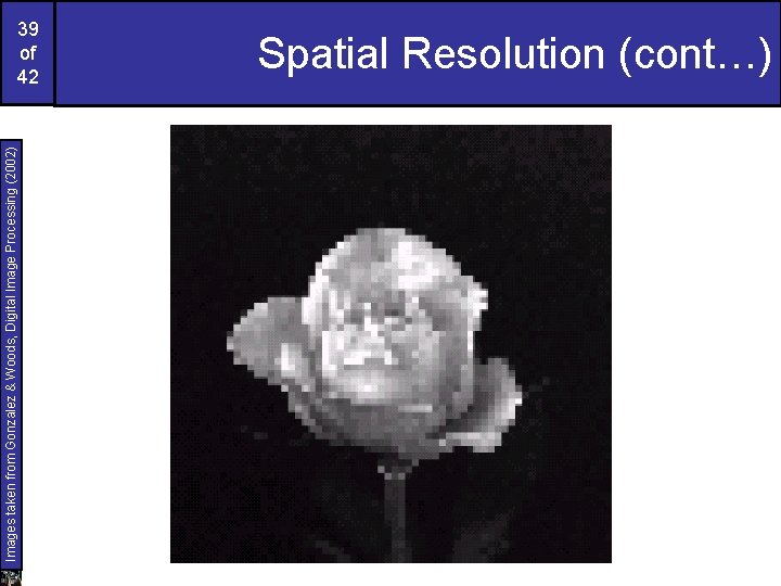 Images taken from Gonzalez & Woods, Digital Image Processing (2002) 39 of 42 Spatial