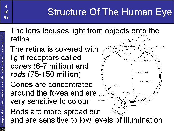 Images taken from Gonzalez & Woods, Digital Image Processing (2002) 4 of 42 Structure