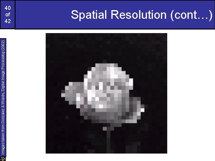 Images taken from Gonzalez & Woods, Digital Image Processing (2002) 40 of 42 Spatial