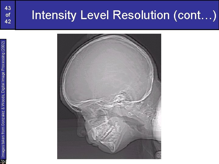 Images taken from Gonzalez & Woods, Digital Image Processing (2002) 43 of 42 Intensity